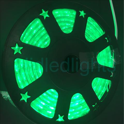 144ft Green LED Rope Light 110V 2 Wire Christmas Flexible Lighting Outdoor